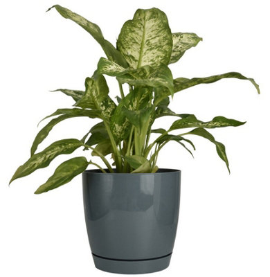 B2C Gloss Flowerpot Planter Pot With Saucer Plastic Modern Pre Drilled Round Tray 4.4L (D19Cm H18.5Cm) Steel Blue from B&Q