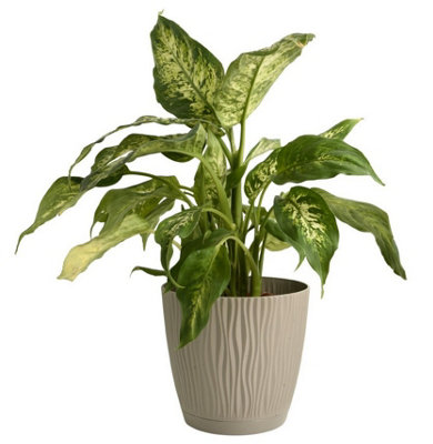 B2C Flower Pot Planter Round Plastic Wave Textured Flowerpot With Saucer Modern D14.9Cm H13.9Cm Mocca from B&Q