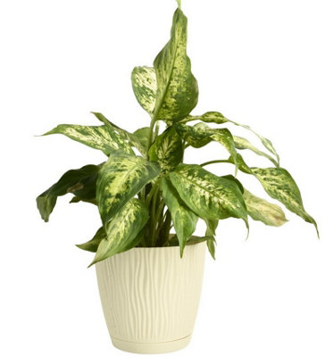 B2C Flower Pot Planter Round Plastic Wave Textured Flowerpot With Saucer Modern D18.8Cm H17.5Cm Ecru from B&Q