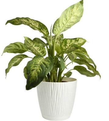 B2C Flower Pot Planter Round Plastic Wave Textured Flowerpot With Saucer Modern D23.9Cm H22.5Cm White from B&Q