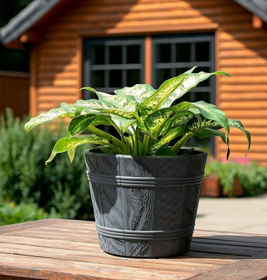 B2C Barrel Planter Flower Pot Wood Effect Plastic Round Indoor Outdoor Garden Tub 1.3L (D15Cm H13Cm) Anthracite from B&Q