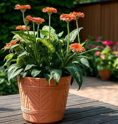 B2C Barrel Planter Flower Pot Wood Effect Plastic Round Indoor Outdoor Garden Tub 18L (D34Cm H28.5Cm) Terracotta from B&Q