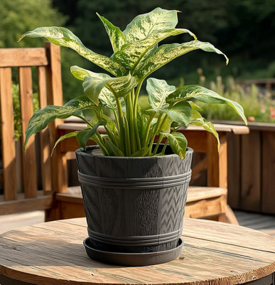 B2C Barrel Planter Flower Pot With Saucer Wood Effect Plastic Round Indoor Outdoor 18L (D34Cm H29Cm) Anthracite from B&Q
