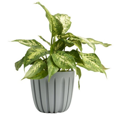 B2C Round Flower Pot Planter Grooved Texture Plastic Indoor Outdoor Matt Strong Matt 1.3L (D13.8 X H12.5Cm) Light Grey from B&Q