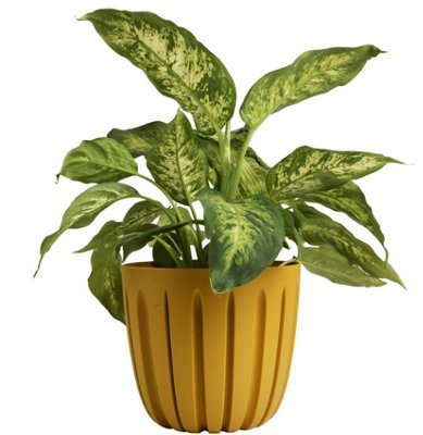 B2C Round Flower Pot Planter Grooved Texture Plastic Indoor Outdoor Matt Strong Matt 1.3L (D13.8 X H12.5Cm) Mustard
