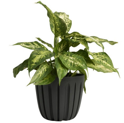 B2C Round Flower Pot Planter Grooved Texture Plastic Indoor Outdoor Matt Strong Matt 2.4L (D16.8 X H14.6Cm) Carbon