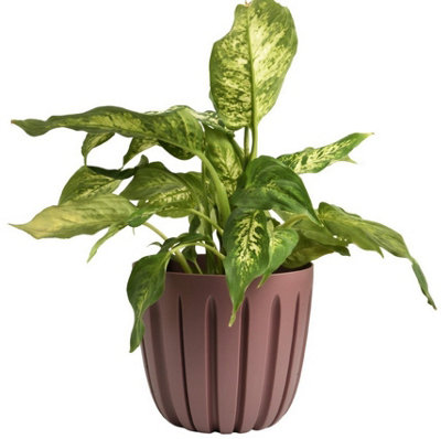 B2C Round Flower Pot Planter Grooved Texture Plastic Indoor Outdoor Matt Strong Matt 2.4L (D16.8 X H14.6Cm) Marsala