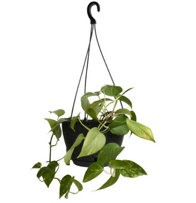 B&Q -  Hanging Flower Pot Basket Planter Round Rattan Effect Plastic Pot Indoor Outdoor