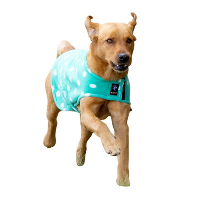 Supreme Products Dotty Fleece Dog Coat Green (Xxs-46Cm) from B&Q