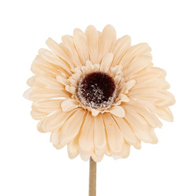 Hill Interiors Soft Gerbera Gerbera Artificial Flower Cream (One Size) from B&Q