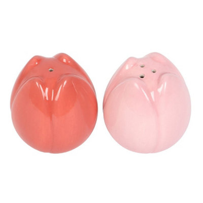 Something Different Tulip Salt And Per Shakers Pink/orange (One Size) from B&Q