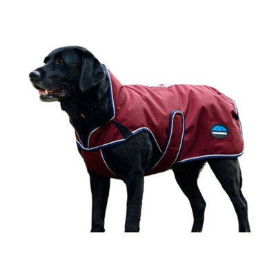 Weatherbeeta Comfitec Premier Deluxe Waterproof Dog Coat Burgundy/navy (30Cm) from B&Q