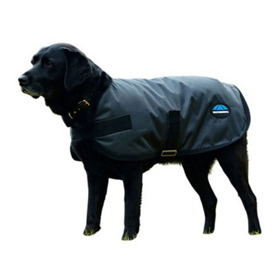 Weatherbeeta Comfitec Clic Waterproof Dog Coat Charcoal (65Cm) from B&Q