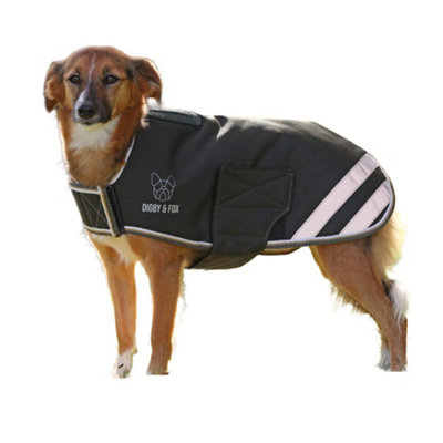 Digby & Fox Logo Waterproof Dog Coat Green (S-36Cm)