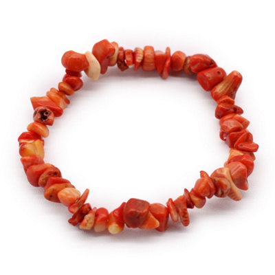 Chipstone Bracelet Coralite Stone Multicolor