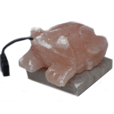 Usb Toad-Shaped Multicolor Himalayan Salt Lamp