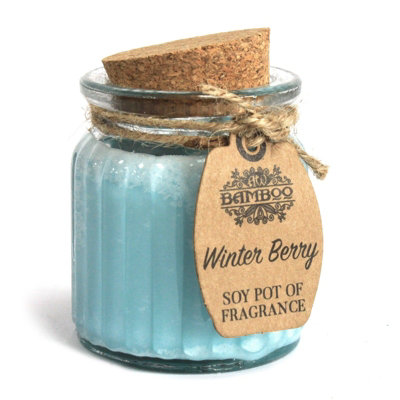 Winter Berry Soy Pot Of Fragrance Candles from B&Q