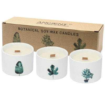 Medium Botanical Candles Lemon Honeysuckle from B&Q