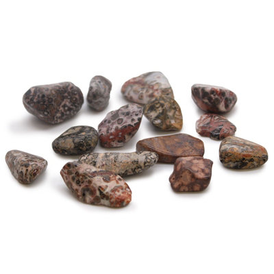 M Tumble Stone Leopard Skin Maroon from B&Q