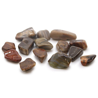 M Tumble Stone Petrified Wood Maroon from B&Q