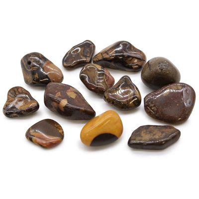 Medium African Tumble Stones Picture Nguni from B&Q