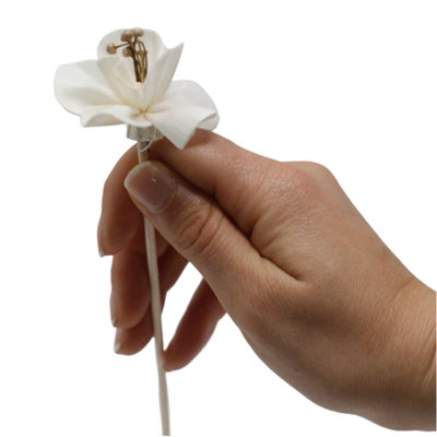 Natural Diffuser Flowers Lily On Reed from B&Q