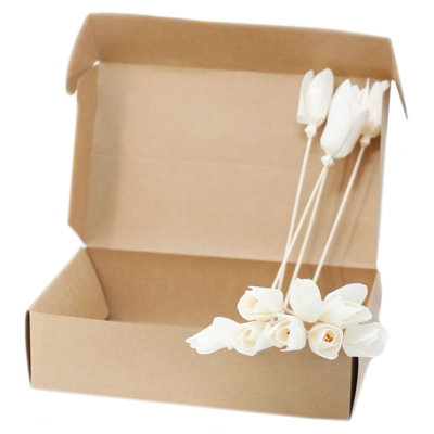 Natural Diffuser Flowers Tulip On Reed from B&Q
