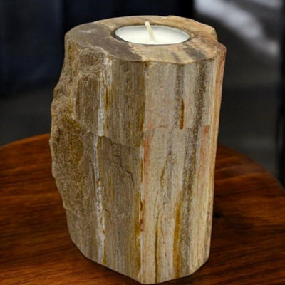 Hand-Carved Petrified Wood Candle HolderRustic Tall Tealight Decor from B&Q