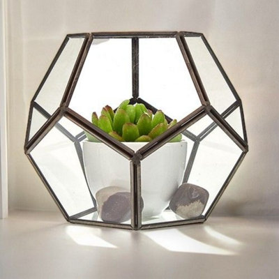  - Large Octagon Glass Terrarium For Succulents & Miniature Plants
