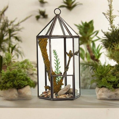 Glass Lantern Terrarium For Succulents & Air PlantsStylish Geometric Decor from B&Q