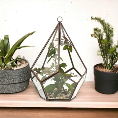  - Large Glass Pentagon Terrarium For Succulents & Miniature Art