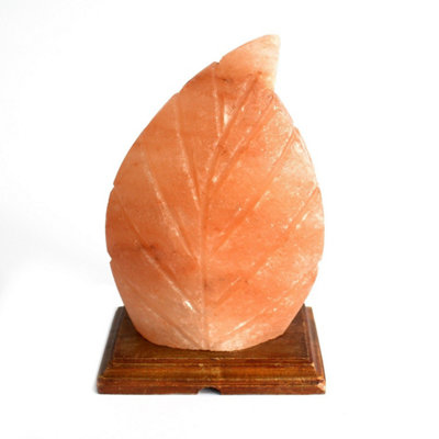 Fern Shape Himalayan Salt LampAir Purifying Crystal Decor from B&Q