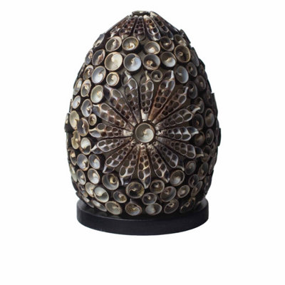 Boho Sea Shell LampChocolate Twist Oval15Cm Coastal Decor from B&Q