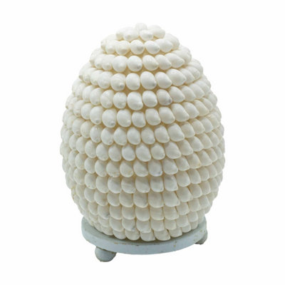 Boho Sea Shell LampButing Shell Oval15CmNatural Decor Light from B&Q
