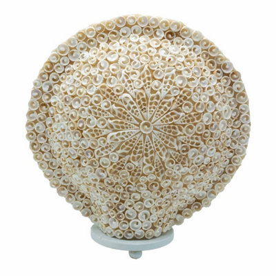 Boho Sea Shell LampLarge 30Cm Round Cut Art Shell Decor from B&Q
