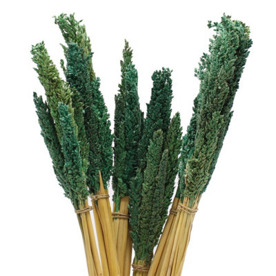  - Vibrant Cantal Grass BunchSustainable Dried Floral Decor (50Cm)