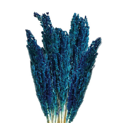  - Vibrant Cantal Grass BunchDried & Coloured Floral Decor (50Cm)