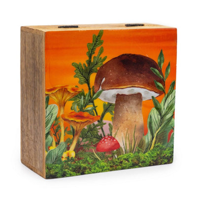 Big Square Storage Box 15X17.5X8CmMushroom & Teal Design from B&Q
