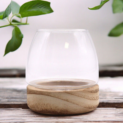  - Mini Tung Wood Glass Terrarium & Vase For Plants & Decor