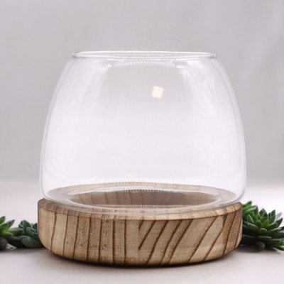  - Small Tung Wood Terrarium For Indoor Tabletop Gardens