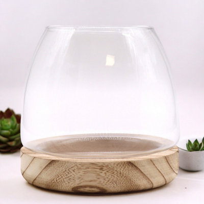  - Medium Natural Tung Wood Terrarium For Miniature Ecosystems