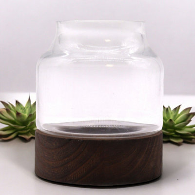  - Small Shaped Terrarium On Dark Tung Wood BaseModern Miniature Ecosystem