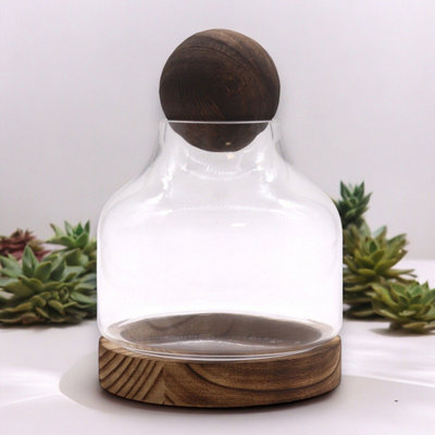  - Medium Ball Top Terrarium On Dark Tung WoodIndoor Miniature Garden