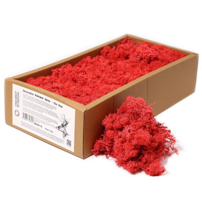 Fire Red Reindeer Moss1St Grade Preserved Decorative Moss (500G) from B&Q