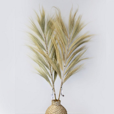  - Rayung Grass Pampas Display1.6MColorful Dried Tropical Decor