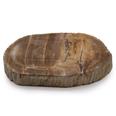  - Petrified Wood Soap DishUnique Mineral-Infused Natural Decor