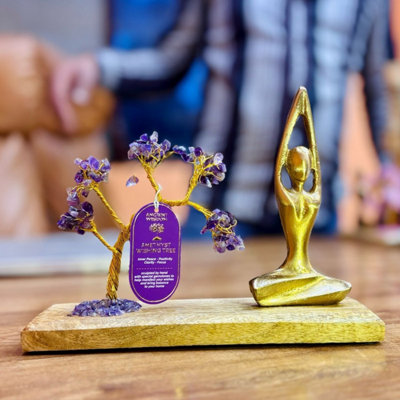 Gemstone Yoga Garden With Amethyst Tree & Sukhasana Figure100 Chips from B&Q