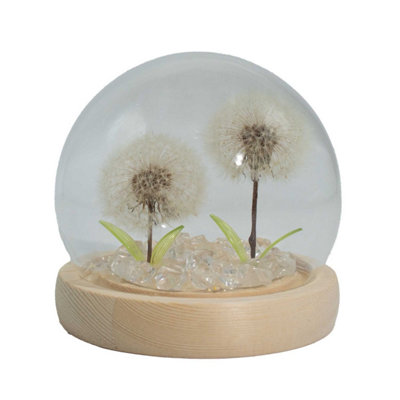 Floral Glow Garden Dome2 Dandelions Led Usb Light from B&Q