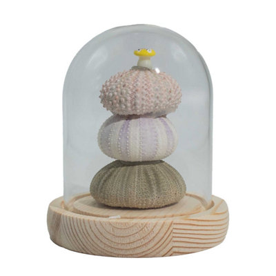 Floral Glow Garden Dome With 3 Sea UrchinsLed Usb Decor from B&Q