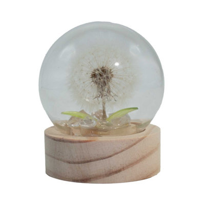 Floral Glow Garden DomeDandelion Led Decor For Calm Spaces from B&Q